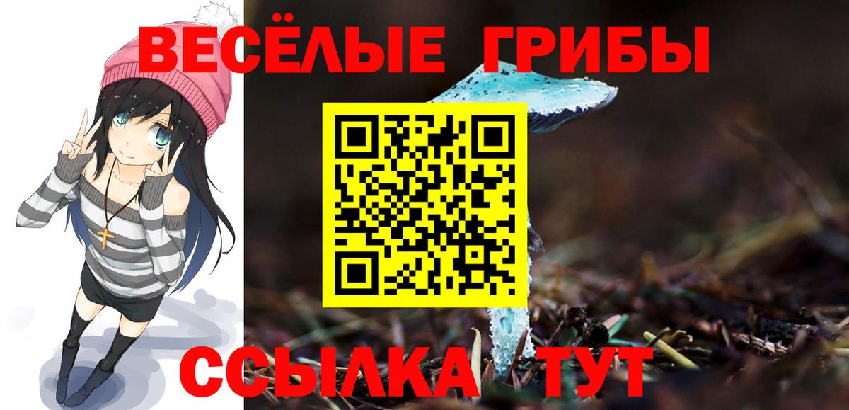 Псилоцибиновые грибы ЛСД  Вход с VPN  наркошоп  Губкинский  Псилоцибиновые грибы GOLDEN TEACHER 